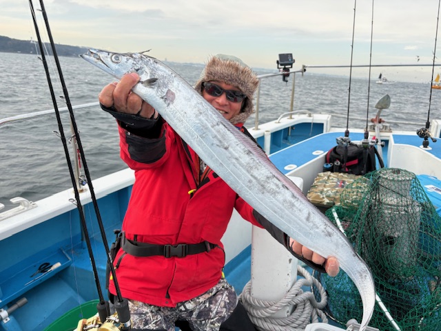 東京湾 釣り船ガイド 深川吉野屋 釣果情報